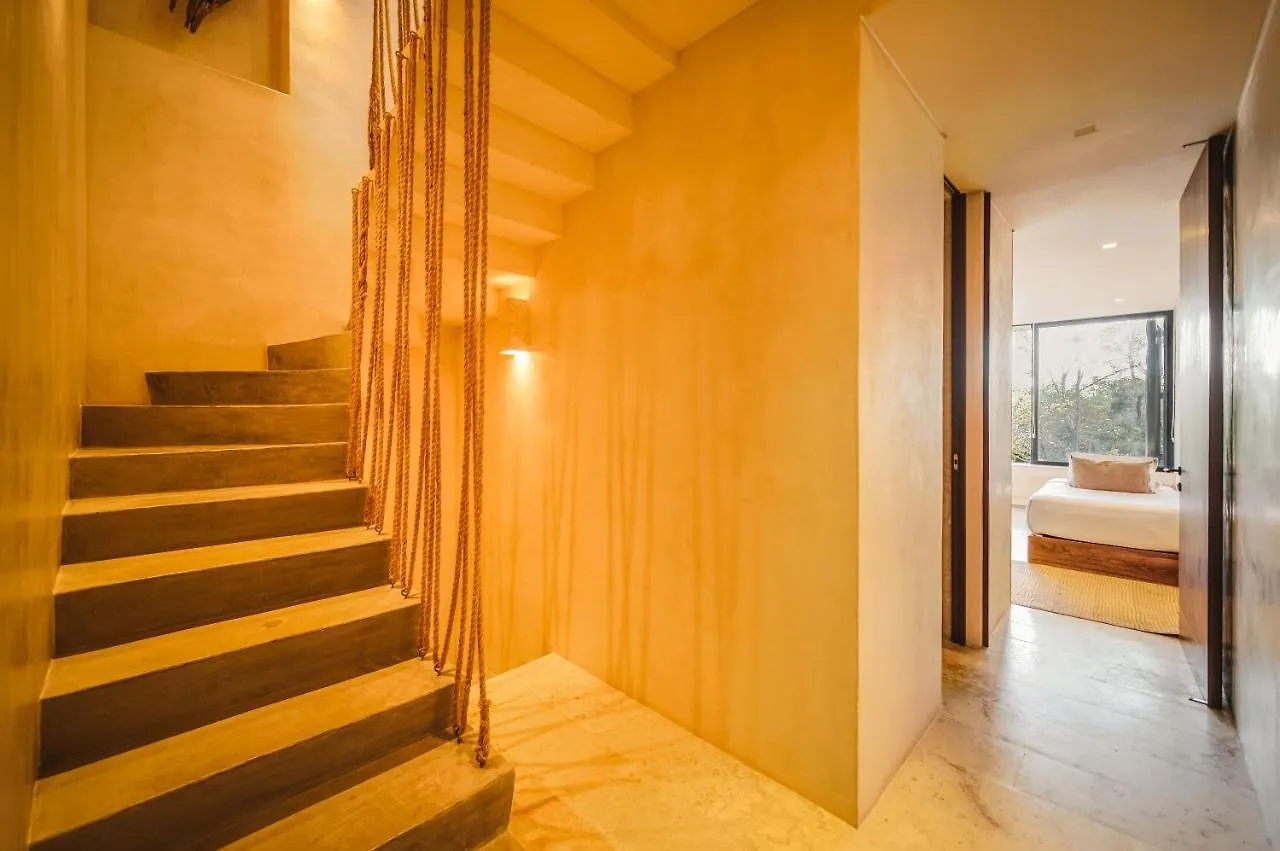 Отель Panoramic 3Br Ph With Private Pool Тулум 0*,  Мексика